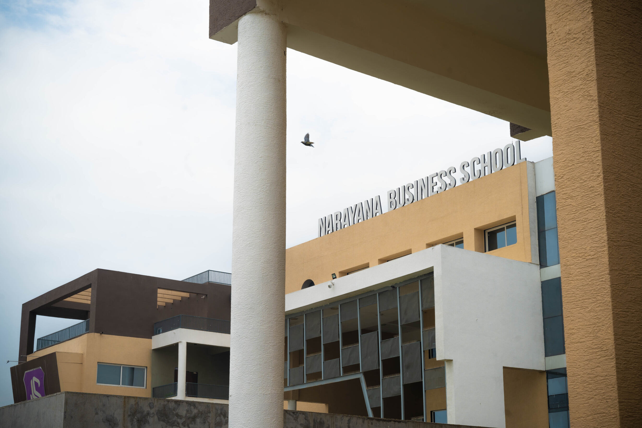 Top B Schools In India: Narayana Business School Ranks 3rd Best MBA College In Gujarat