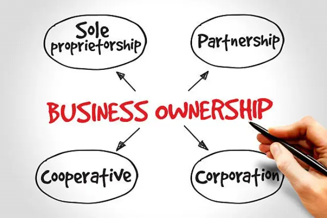 types of business ownership