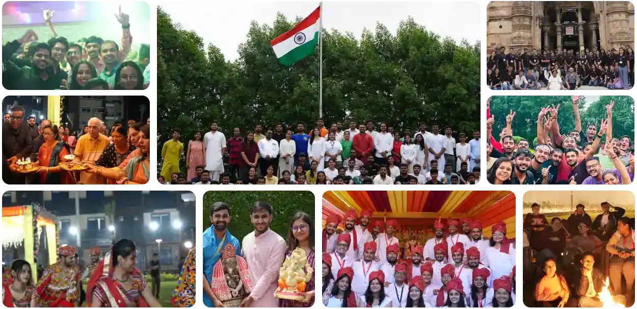 Festivals & Celebrations